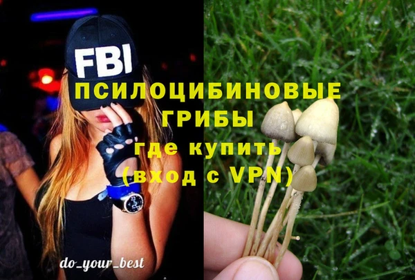 ALPHA-PVP Бугульма