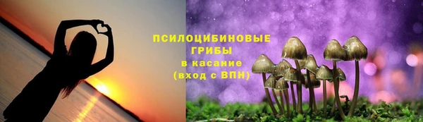 ALPHA-PVP Бугульма