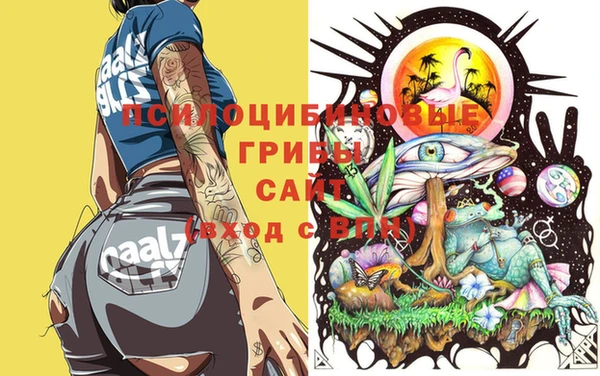 ALPHA-PVP Бугульма